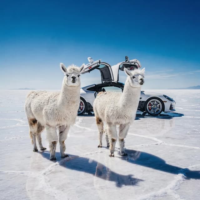 A bright, surreal scene on a vast white